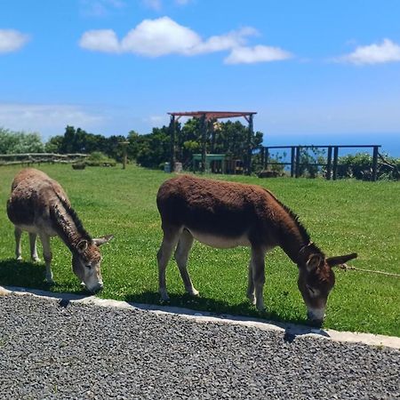 Casita - Cantinho Do Paraiso Вила до Порто Екстериор снимка